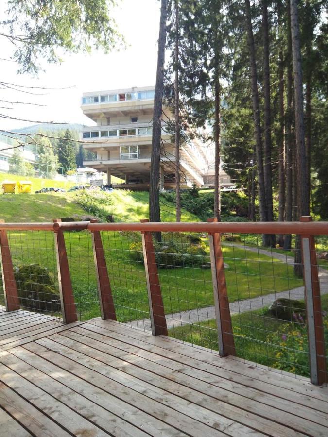 Sul Cucuzzolo Apartamento Marilleva Exterior foto